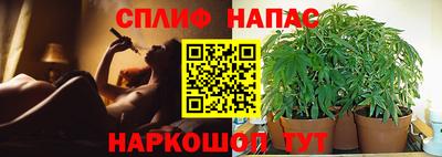 ешки Краснознаменск