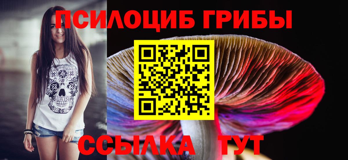 Псилоцибиновые грибы GOLDEN TEACHER  Вход с VPN  Ирбит 